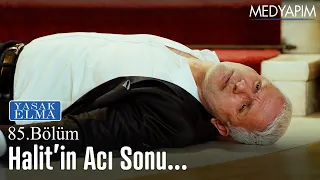 Halit'in acı sonu - Yasak Elma 85. Bölüm