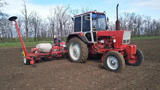 ❌ПОСІВ СОНЯШНИКА‼️👉SY BARBATI!🚜ЮмЗ-6;УПС-8!