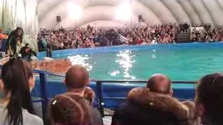 дельфинарий в волгограде