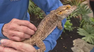 Pittsburgh Zoo & Aquarium celebrates Red, Wild, and Blue Day