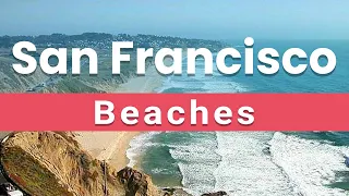 Top 10 Beaches to Visit in San Francisco, California | USA - English