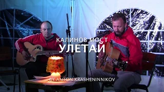 Калинов Мост - Улетай (кавер - Антон Крашенинников)