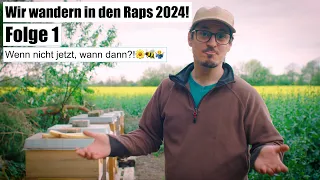 Wir wandern in den Raps 2024 - Folge 1 - Wenn nicht jetzt, wann dann?!🌼🐝🤷‍♂️