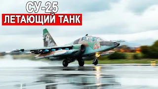 Штурмовик Су-25 или Летающий танк