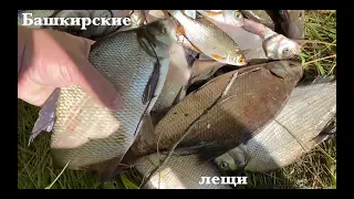 Башкирия. Белая река (Агидель). Рыбалка на фидер.