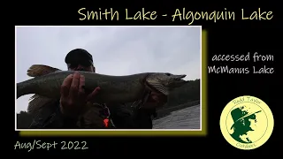 Smith Lake - Algonquin Park