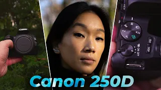 Canon EOS 250D Стоит ли камера того?