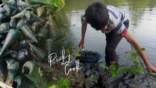 The Life of Bagongon Episode 1, Picking and Cooking Pinangat na Gabi with Bagongon.