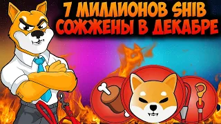 Тотальное Сжигание Shiba Inu В Декабре - Держатели SHIB Должны Знать Это!!!