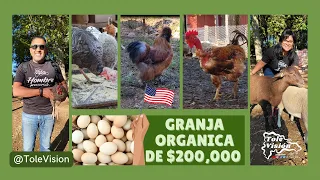 Mejor Lugar Para Adquirir CARNE ORGANICA En 🇺🇸 | Sin Químicos Ni Hormonas: Morocho's Farm