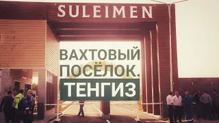 Тенгиз. Вахтовый посёлок "Сүлеймен". Командировка. / Tengiz. Business Trip. Suleimen Camp.