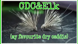 CDC&Elk (My favourite caddis fly)