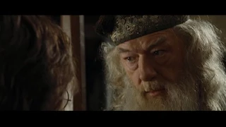 If John Williams Scored Harry Potter and the Goblet of Fire (Dumbledore and Harry)