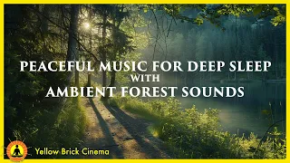 Peaceful Sleeping Music, Soothing Music for Deep Sleep, Relaxing Nature Music, Ambient Forest Sounds