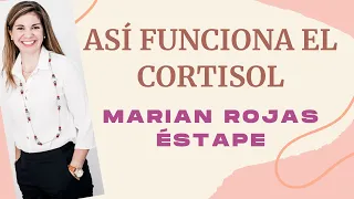 ¿QUE ES EL CORTISOL? Y COMO FUNCIONA TU CEREBRO                       Marian Rojas Estapé