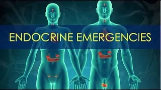 Endocrine Emergencies - Pancreatic & Adrenal Disorders