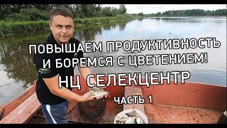 Как повысить продуктивность на  рыбном хозяйстве? избавиться от цветения и замора в жару #хлорелла