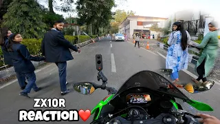 First Day in College with My Kawasaki Z900 | Bunny Helmet Cover | Cute Girl Reaction 4 #z900 #cute