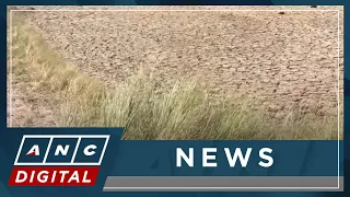 PAGASA: 37 PH provinces already affected by drought amid El Nino | ANC