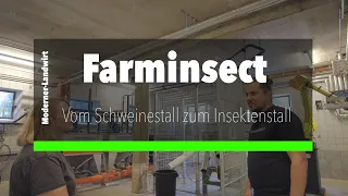 Vom Schweinestall zum Insektenstall - Farminsect