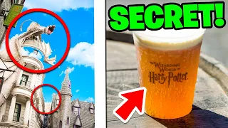 5 Universal Studios Wizarding World of Harry Potter SECRETS