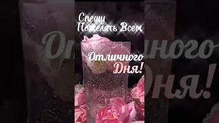 Отличного дня!