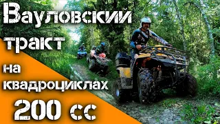 ВАУЛОВСКИЙ ТРАКТ на КВАДРОЦИКЛАХ 200СС