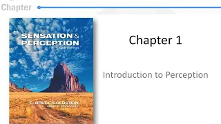 Sensation and Perception: Introduction to Perception