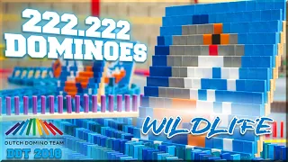 222.222 DOMINOES - DDT 2018 - WILDLIFE