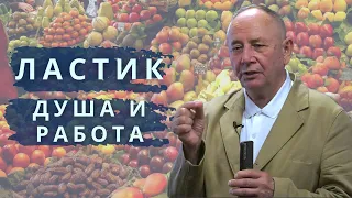 Как реализоваться в бизнесе? Как Ластик помогает в карьере