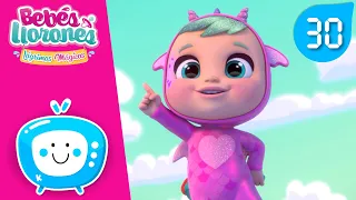 EPISODIOS COMPLETOS 🐉🔥 BEBÉS LLORONES 💦 LÁGRIMAS MÁGICAS 💕 Vídeos para NIÑOS en español