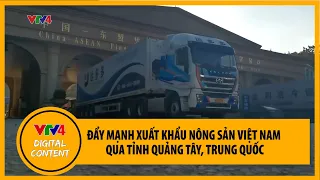 Đẩy mạnh xuất khẩu nông sản Việt Nam qua tỉnh Quảng Tây, Trung Quốc | VTV4