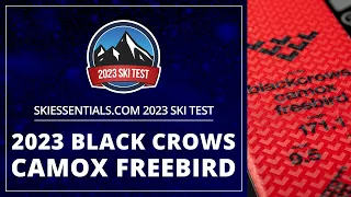 2023 Black Crows Camox Freebird - SkiEssentials.com Ski Test