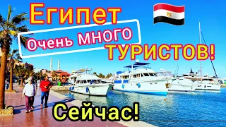 ЕГИПЕТ в МАЕ и ИЮНЕ 🇪🇬 Как здесь СЕЙЧАС? Погода в Шарм эль Шейхе и Хургаде. Какой отдых?