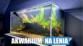 Akwarium Tanie i Bezobsługowe 60x30x30 -Krok po Kroku