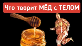 Если есть мёд Каждый день, то что будет с вашим телом ?