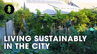 Sustainable City Living on 1/10th of an Acre | Degrowth in the Suburbs