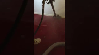 Neil And Son Cleaning Carpet cleaning 8/1/2017