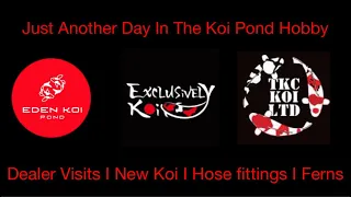 Eden koi pond - 2x dealer visits, Pond decor, new koi and excitement over a hose fitting!