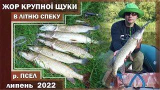 КРУПНЫЕ ЩУКИ запрыгивают прямо в ЛОДКУ!!! НЕВЕРОЯТНЫЙ ЖОР щуки ЛЕТОМ. ЧУДЕСА ТВИЧИНГА на реке ПСЕЛ