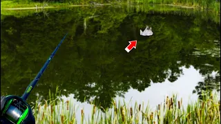 1v1 Pond Fishing Challenge! (Down to Final Casts)