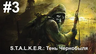 Вечерний стрим | STALKER  Тень Чернобыля #3
