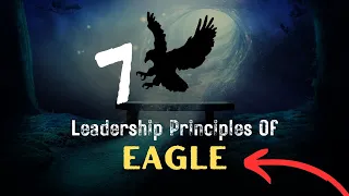 Eagle Leadership Principle | 7 Leadership Principle of an Eagle @idealrules