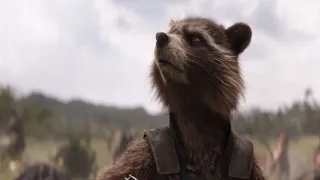 Avengers:Infinity War - All Rocket Raccoon's lines