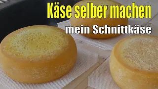 Käse selber machen | Mein Schnittkäse