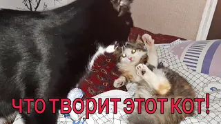 КОГДА ШИЛО В ИЗВЕСТНОМ МЕСТЕ!