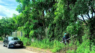 SINGLE MOM shocked the OVERGROWN grass around fence house over 4000 SQUARE meters we helped for FREE