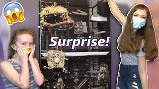 I SHOWED UP AT MY FAN’S HOUSE WITH A BRAND NEW HUGE BIRD CAGE!