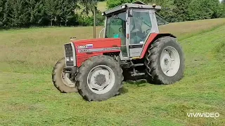 1st cut silage |Massey ferguson 3080 with Class disc 260|