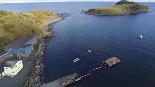 Aerial Newfoundland